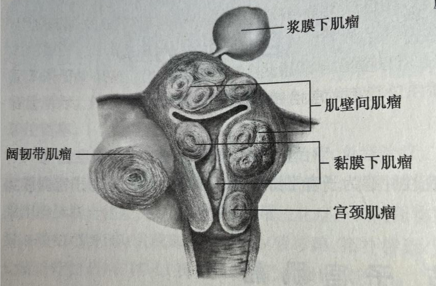 微信图片_20240922103649.png