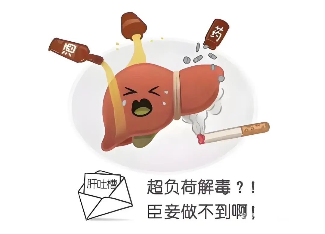 微信图片_20250319082925.jpg