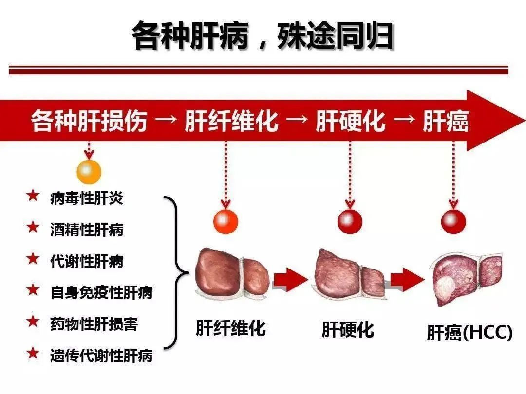 微信图片_20250319082932.jpg