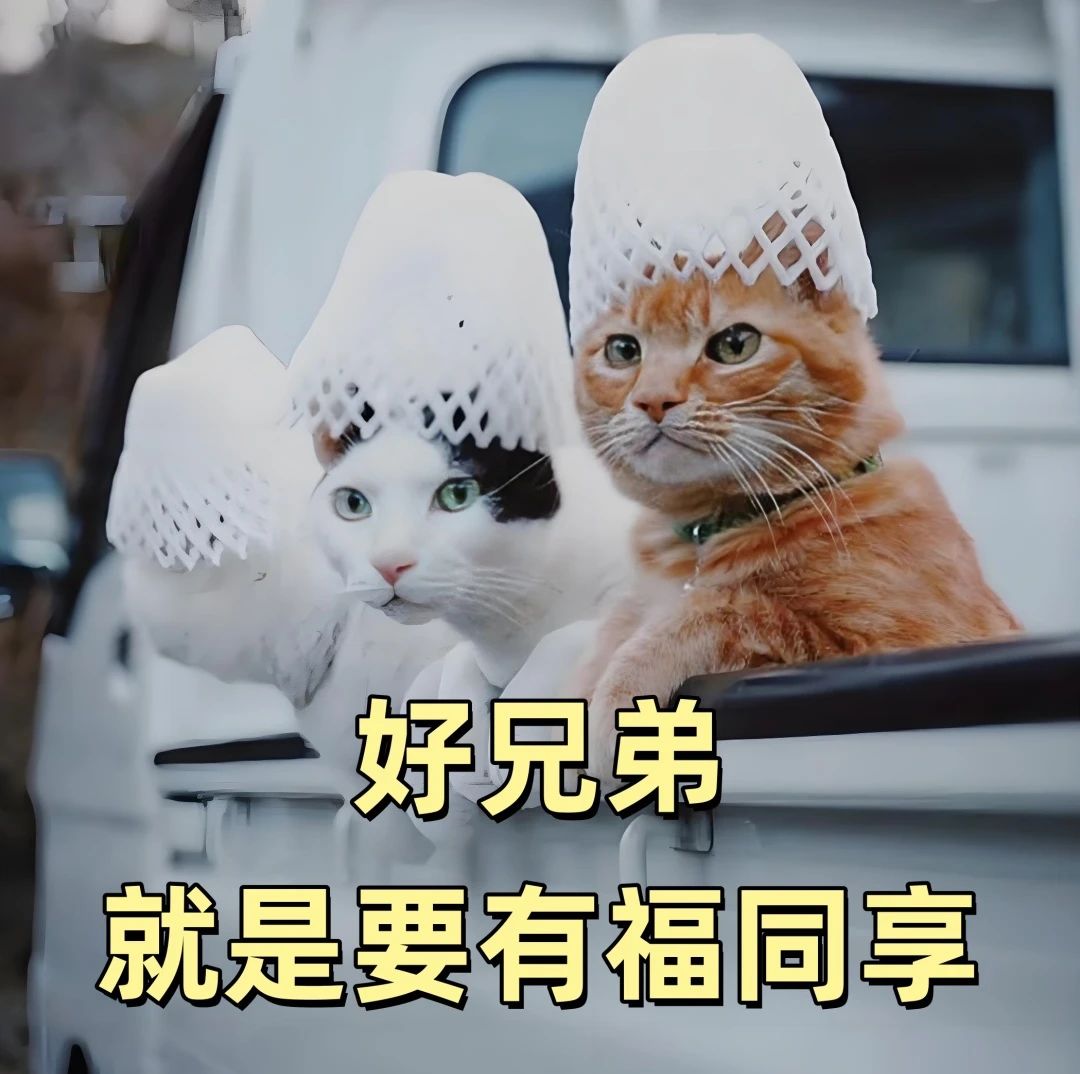 微信图片_20250416102238.jpg