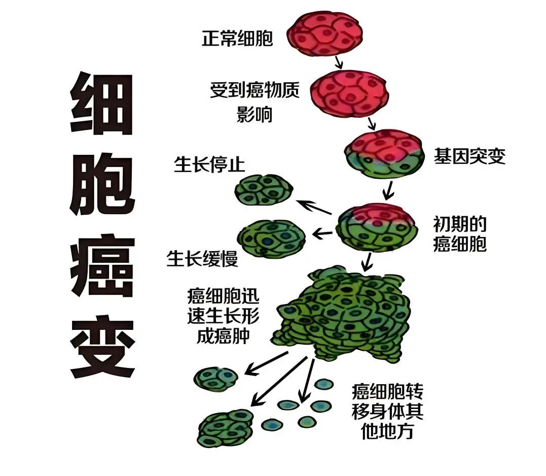 微信图片_20250501101536.jpg